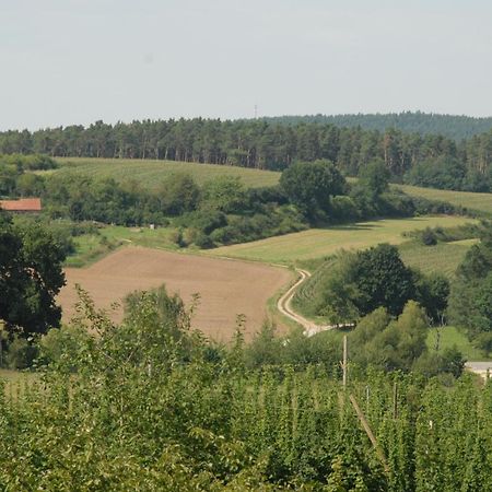 Ferienwohnung Passivhaus "Schoene Aussicht" Georgensgmund Extérieur photo