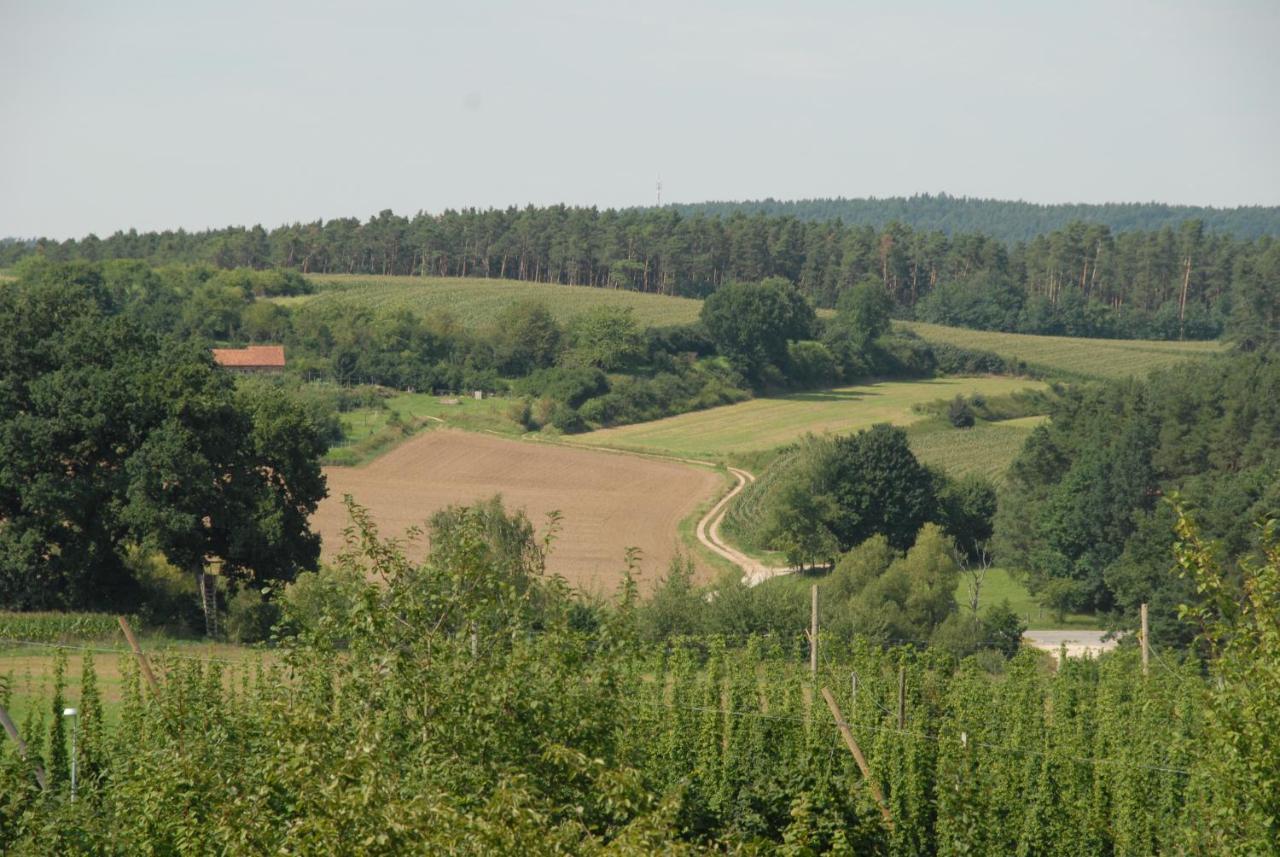 Ferienwohnung Passivhaus "Schoene Aussicht" Georgensgmund Extérieur photo